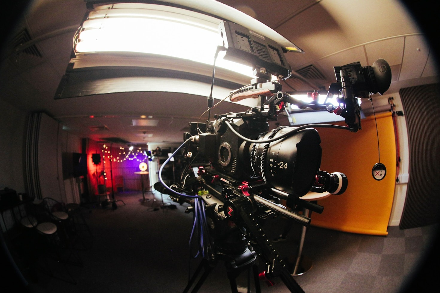 5 Ways Fern Reels Brings Your Brand to Life